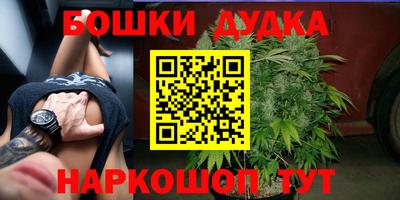 mdma Аргун