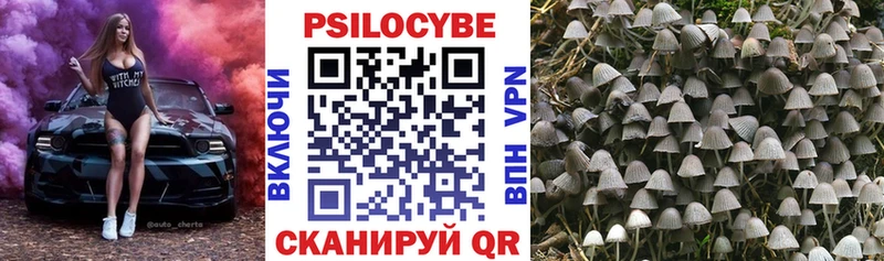 Галлюциногенные грибы GOLDEN TEACHER  гидра сайт  Великий Новгород 