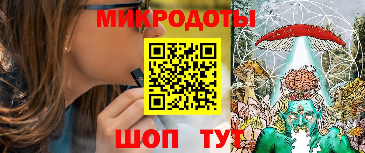 Псилоцибиновые грибы Psilocybe Великий Новгород
