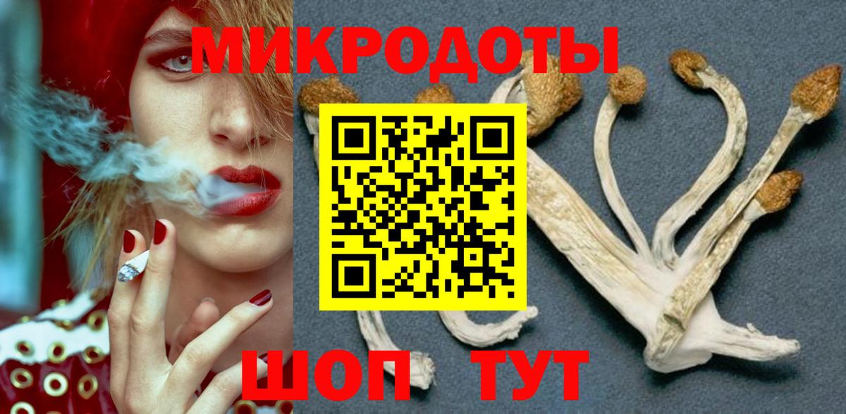 Великий Новгород  Галлюциногенные грибы прущие грибы  Вход с VPN 