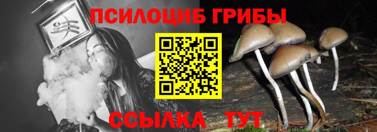 Великий Новгород  МЕФ кристаллы  МЕТАМФЕТАМИН  Меф МЯУ МЯУ кристаллы  ГАШИШ  MDMA  Кокаин  Бошки Шишки  А ПВП СК  